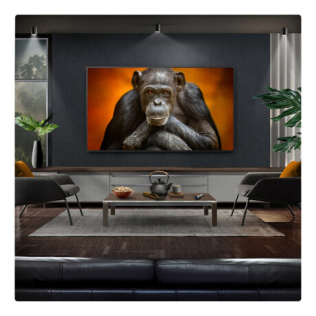 LG OLED evo AI G5 55" 4K Smart TV