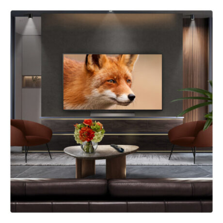LG OLED48C56LB.AEK 48" 4K OLED