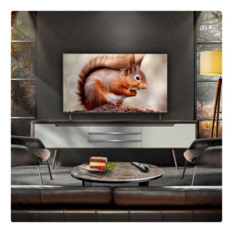 LG OLED48B56LA.AEK 48" 4K OLED Smart TV